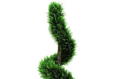 Piante ornamentali